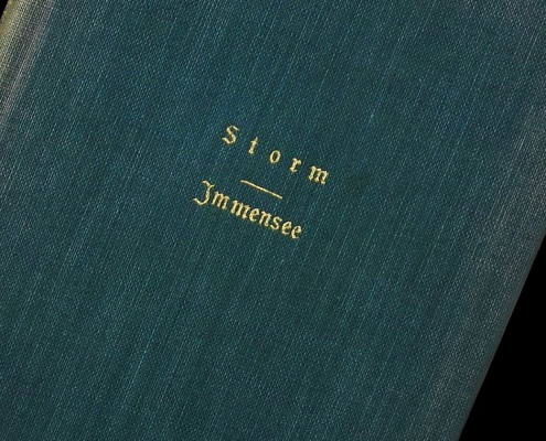 Verlagseinband aus Gewebe mit Goldprägung für: Immensee von Theodor Storm, Leipzig: Amelang 1921 - Signatur: 19 ZZ 8961
